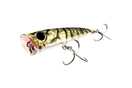 Backfire 65 de Bassday ⭐ Popper de pesca
