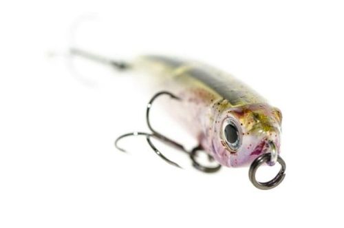 Bassday ORC Umibaku ⭐ Paseante hundido rockfishing