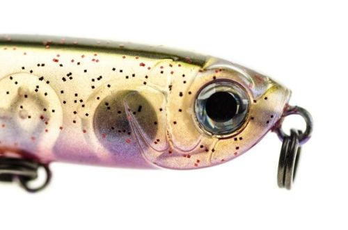 Bassday ORC Umibaku ⭐ Paseante hundido rockfishing