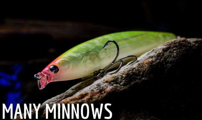 Minnows ❤️ Tienda spinning online