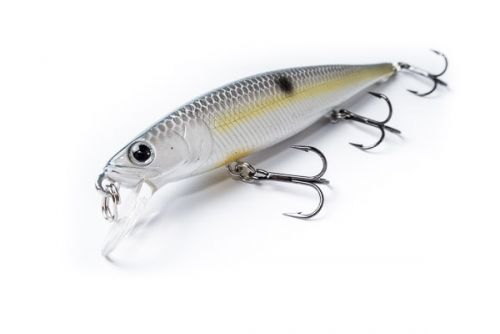 Flash Pointer 100 y 115 de Lucky Craft ⭐ Jerkbaits duros