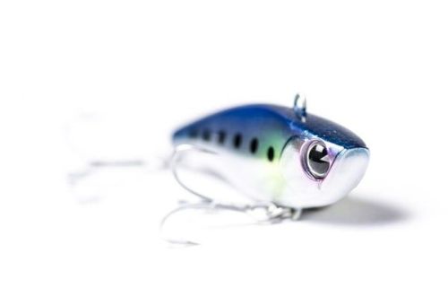 IMA Raikiri ⭐ Lipless crankbait lubinas a spinning
