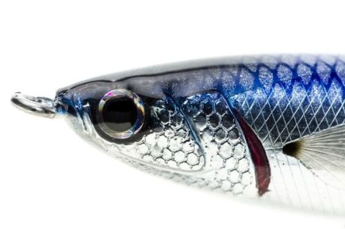 Pelagus 120S Jack Fin ⭐ Paseante hundido bacoreta atún