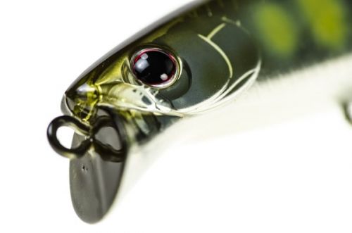 Shoreline Shiner Z Vertice de Daiwa ⭐ Señuelos de pesca