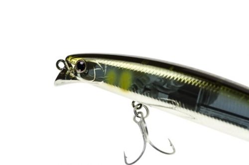 Shoreline Shiner Z Vertice de Daiwa ⭐ Señuelos de pesca