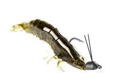 Shrimp 2.5 pulgadas de Molix ⭐ Vinilos rockfishing 
