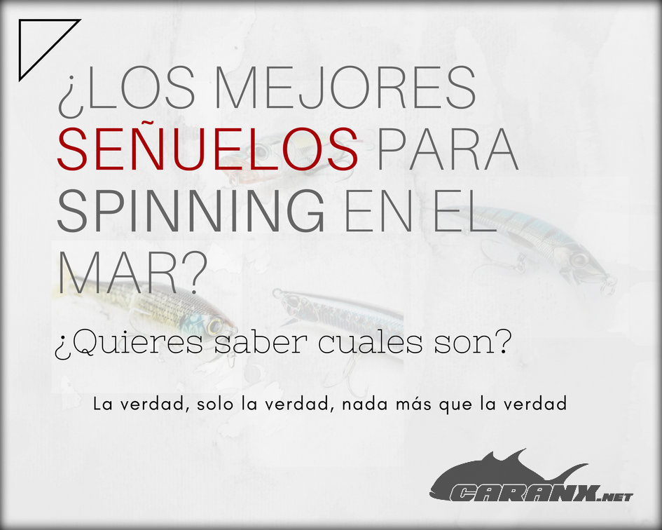 Los mejores señuelos para spinning en el mar