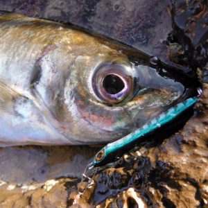 Pesca a Light Rockfishing en el Cantábrico