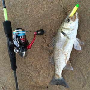 Pesca a Light Rockfishing en el Cantábrico