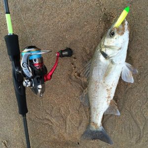 Pesca a Light Rockfishing en el Cantábrico