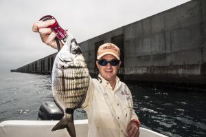 Pesca de los sargos y doradas a spinning